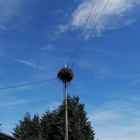 Schwarzwald Appartement Steinen  Exteriér fotografie