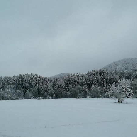 Schwarzwald Appartement Steinen  Exteriér fotografie