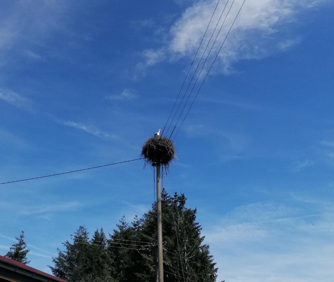 Schwarzwald Appartement Steinen  Exteriér fotografie
