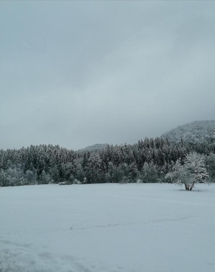 Schwarzwald Appartement Steinen  Exteriér fotografie