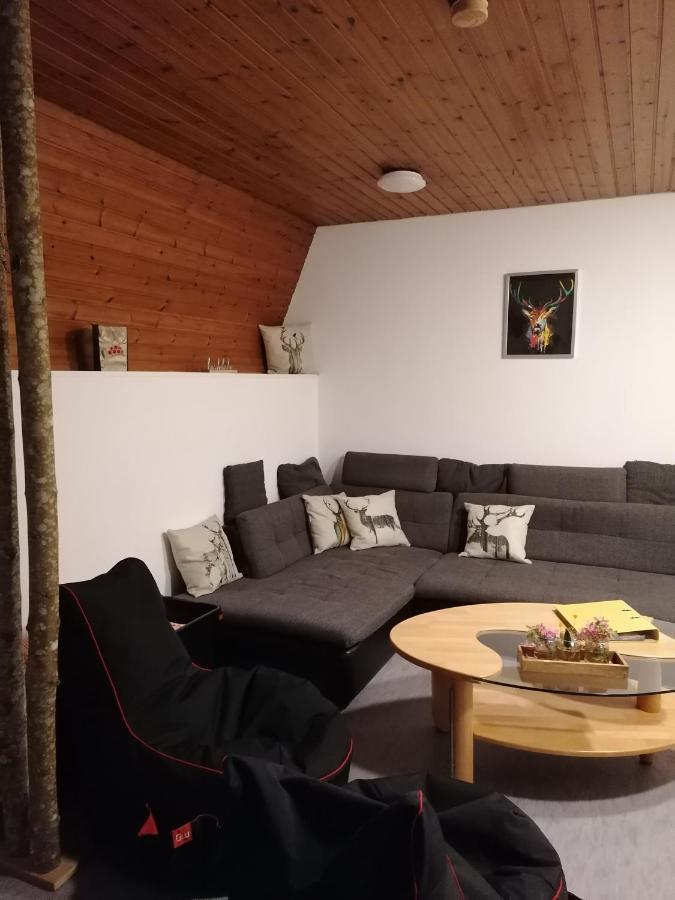 Schwarzwald Appartement Steinen  Exteriér fotografie